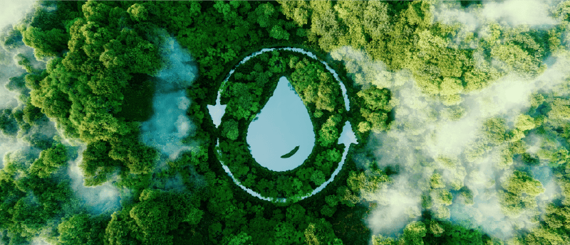 Saving Water
